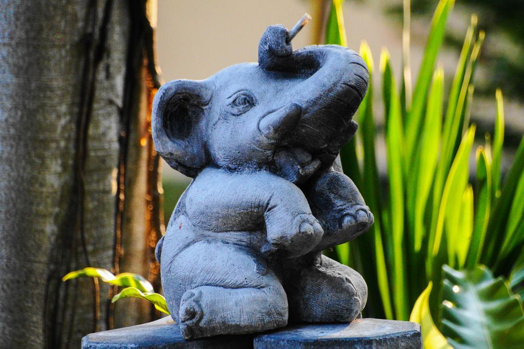 Thai Dee Garden Resort Haad Rin Dış mekan fotoğraf